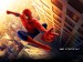 Spider  Man.jpg